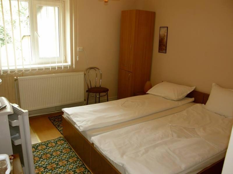 Casa Didina Fosta Pensiune Casa Didina Bacău Zimmer foto